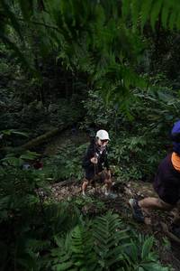 BIB: 
                            <button type="button" onclick="openModal(16030069)" class="btn btn-primary btn-sm float-right btn-popup" data-toggle="modal" data-target=".modal-high-quality">
                        <i class="fas fa-shopping-cart"></i> Add to Cart
                    </button>
                                            <button type="button" onclick="isThisMe(16030069, true)" class="btn btn-success btn-sm float-right btn-popup btn-isme hidden" data-toggle="tooltip" data-placement="bottom" title="นี่คือรูปของคุณใช่ไหม คลิกที่นี่เพื่อเอาเข้าอัลบั้ม">
                        <i class="fas fa-plus"></i> Add to album
                    </button>
                    <button type="button" onclick="isThisMe(16030069, false)" class="btn btn-warning btn-sm float-right btn-popup btn-isnotme hidden">
                        <i class="fas fa-ban"></i> Remove from album
                    </button>